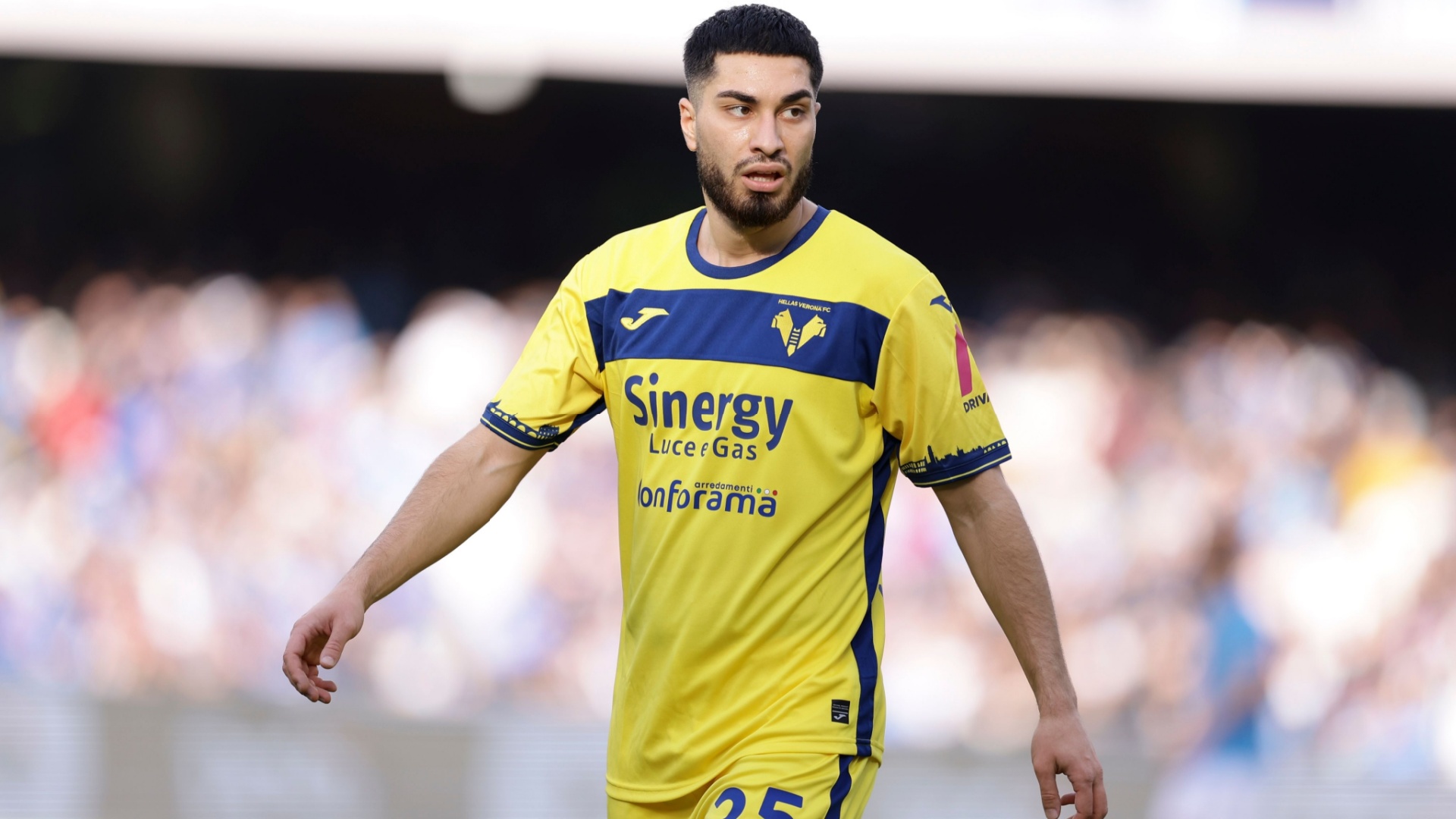 Udinese Verona 1 a 1