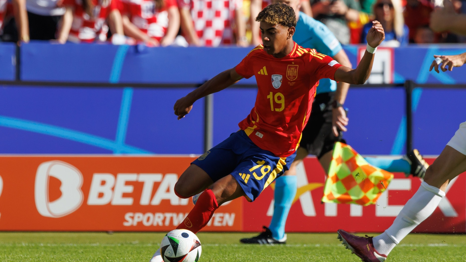 Focus ed Approfondimento sulla Roja